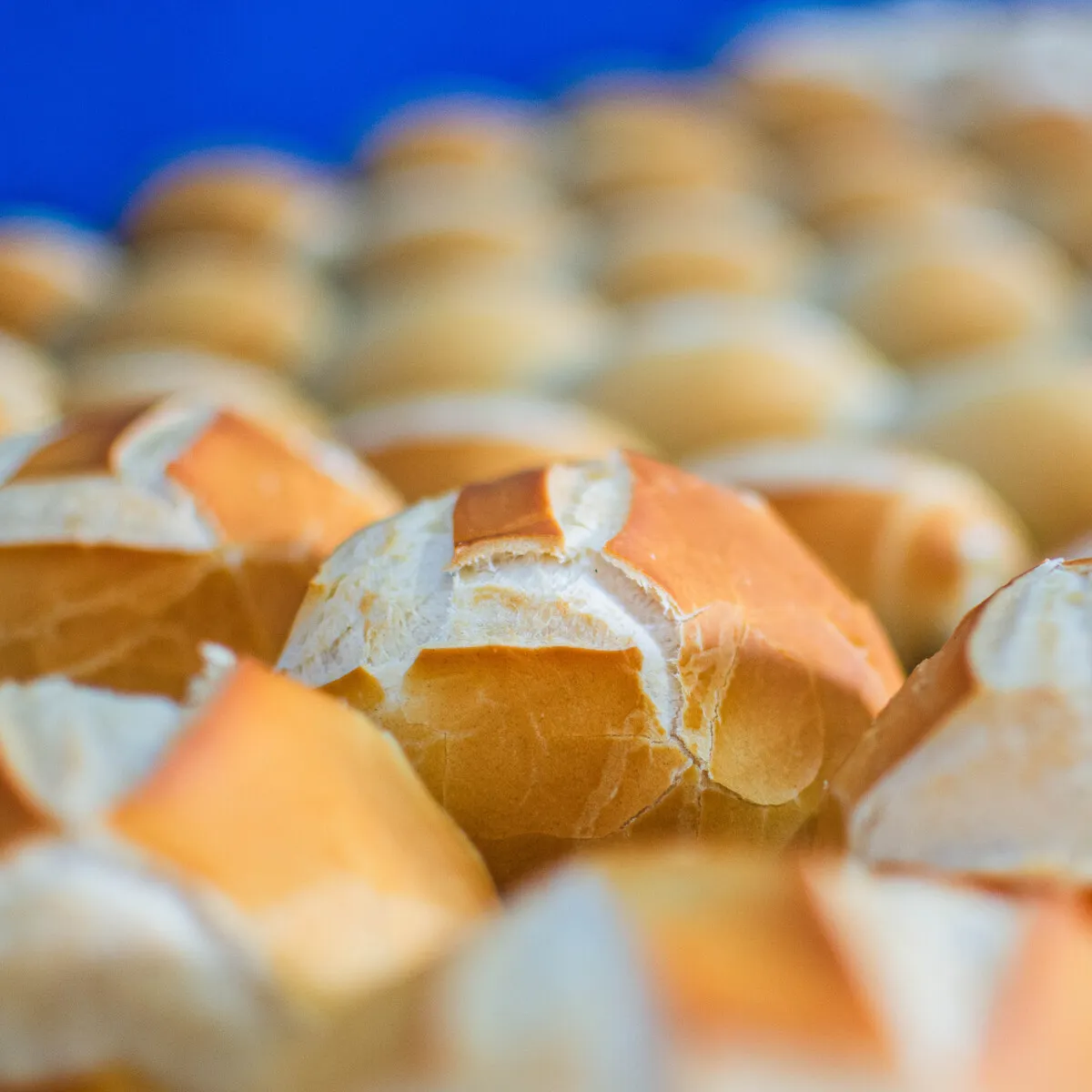 Pão Francês Redondo 4